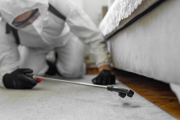 Professional Cockroach Control technician working in Maple Lake, MN
